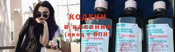 ГАЛЛЮЦИНОГЕННЫЕ ГРИБЫ Переславль-Залесский