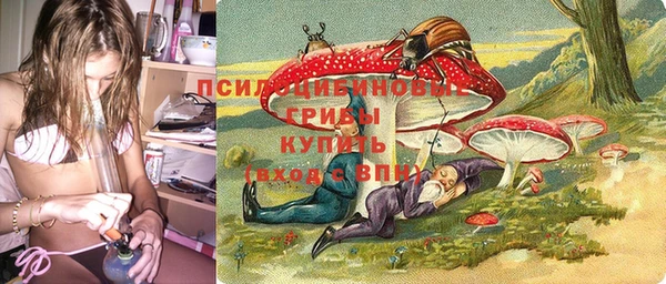 герыч Пестово