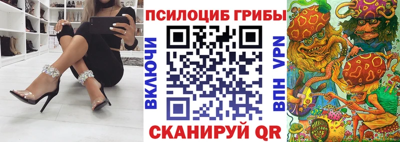 купить наркотик  Кола  Псилоцибиновые грибы прущие грибы 