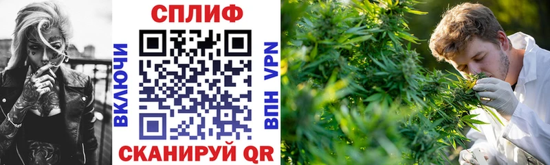 купить закладку Кола Канабис конопля